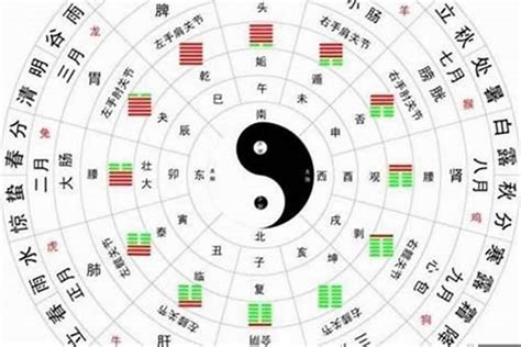 白恩培 八字格局